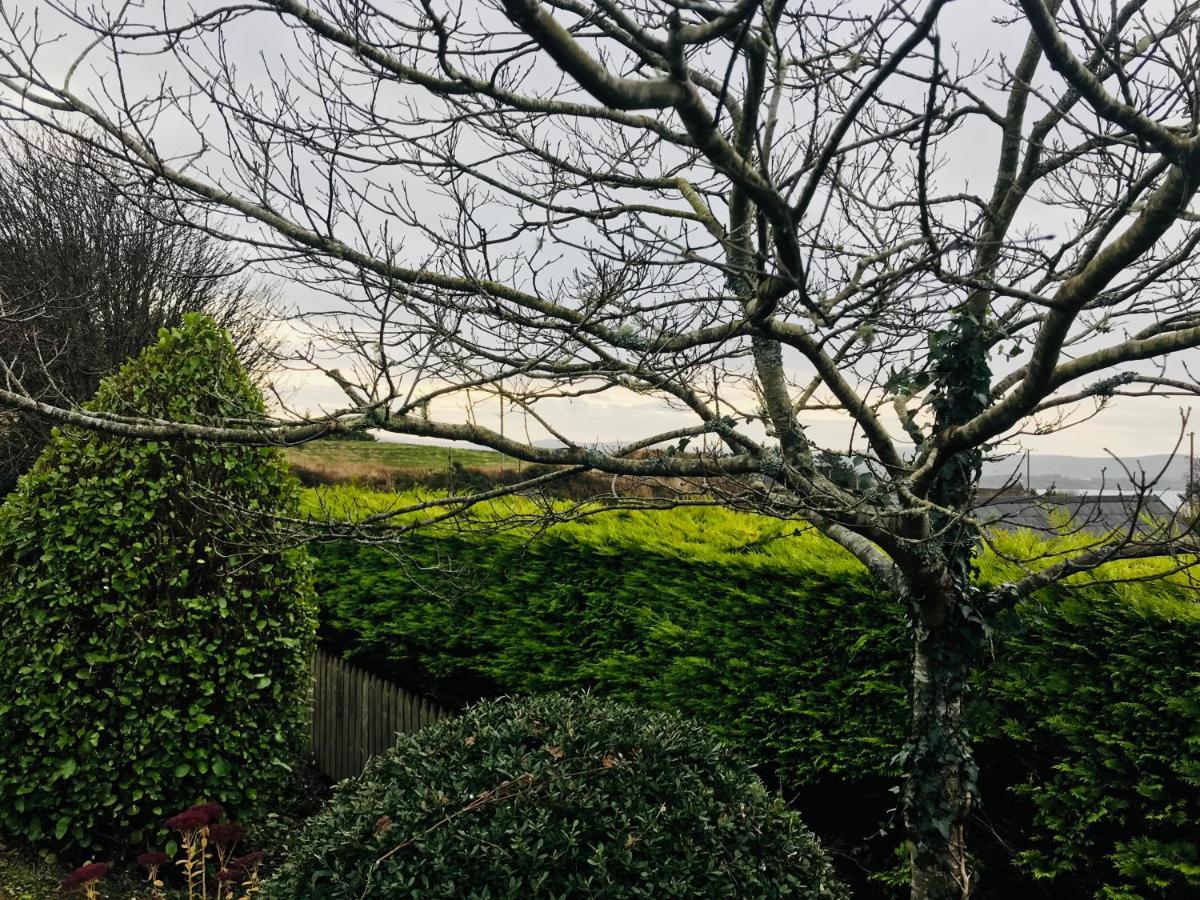 Hill Sea View Cottage Glengarriff Exterior foto